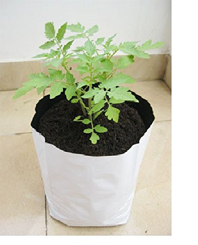 YUVAGREEN LDPE Poly Grow Bags with Flower Plant (White, 24x24x40 cm) - Pack of 10. - Image 4