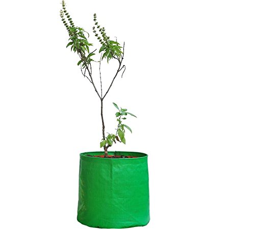 YUVAGREEN High Density Polyethylene Grow Bags, Green, 9"X9", Pack Of 4 - Image 2