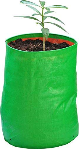 YUVAGREEN Heavy Duty Terrace Gardening Leafy Vegetable Green Grow Bag (9" X 12") - (Pack of 4) - Image 4