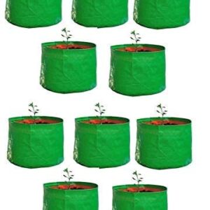 YUVAGREEN Gardening Leafy Vegetable Green Grow Bag (12" X 15") - (Pack of 10)