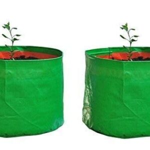 YUVAGREEN Heavy Duty Terrace Gardening Leafy Vegetable Green Grow Bag (12" X 12") - (Pack of 2)