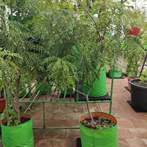 YUVAGREEN Terrace Gardening Leafy Vegetable HDPE Green with Orange UV Treated Grow Bags 24" Diax 24" Height, Pack of 4