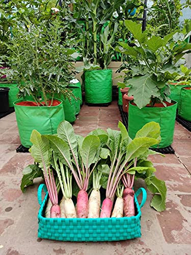 YUVAGREEN Heavy Duty Terrace Gardening Leafy Vegetable Green Grow Bag (15" X 12") - (Pack of 8) - Image 3