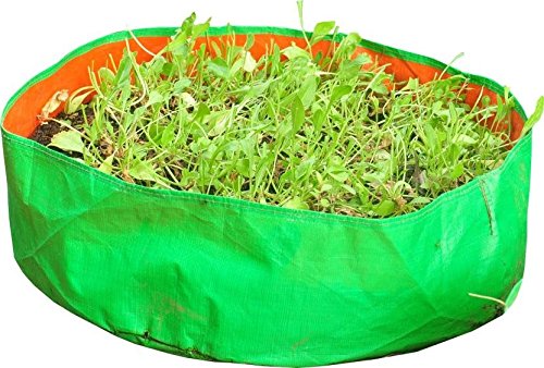 YUVAGREEN Terrace Gardening Leafy Vegetable Polyethylene Grow Bag (Green, 15"x9") - Pack of 4 - Image 5