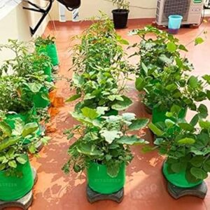 YUVAGREEN Premium Grow Bags for Terrace Gardening Vegetables & Flowers| Round Shaped Green Colour Grow Bag | Suitable for Terrace Gardening| Kitchen Gardening & Balcony (4, 9x9 INCH)