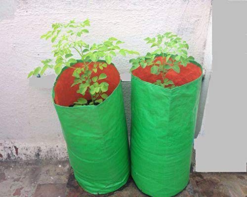 YUVAGREEN High Density Polyethylene Terrace Gardening Leafy Vegetable Grow Bag (Green, 12x18 Inch) -Pack of 4