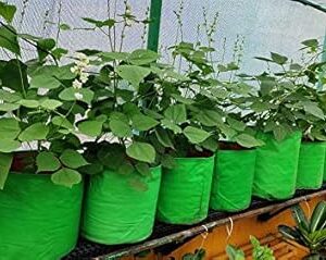 YUVAGREEN Heavy Duty Terrace Gardening Leafy Vegetable Green Grow Bag (18" X 12")- (Pack Of 4), 30 Cm, 45 Cm