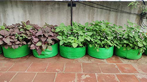 YUVAGREEN Terrace Gardening Leafy Vegetable Polyethylene Grow Bag (Green, 15"x9") - Pack of 4 - Image 2