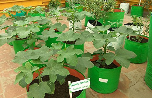 YUVAGREEN High Density Polyethylene Grow Bags, Green, 9"X9", Pack Of 4 - Image 3