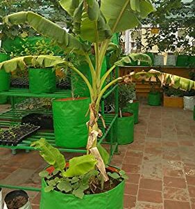 Click to see full view  YUVAGREEN Terrace Gardening Leafy Vegetable HDPE Green with Orange UV Treated Grow Bags 18" Dia x 18" Height, Pack of 4