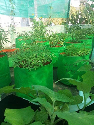 YUVAGREEN Heavy Duty Terrace Gardening Leafy Vegetable Green Grow Bag (15" X 12") - (Pack of 5) - Image 2