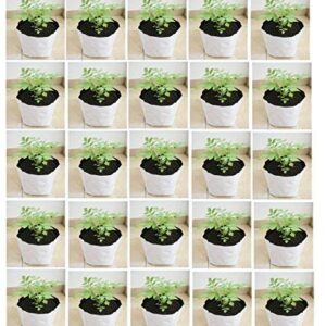 YUVAGREEN LDPE UV Treated Poly Grow Bags for Leafy Vegetable and Flower Plants (White Outside, Black Inside, 24 x 24 x 40 cm) - 8 Bags