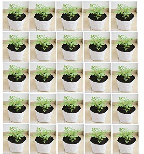 YUVAGREEN UV Treated Poly Grow Bags for Leafy Vegetable and Flower plants (24 x 24 x 40 cm,White Outside, Black Inside) (15) - Image 6