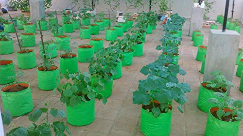 YUVAGREEN Heavy Duty Terrace Gardening Leafy Vegetable Green Grow Bag (12" X 18") - (Pack of 2) - Image 4