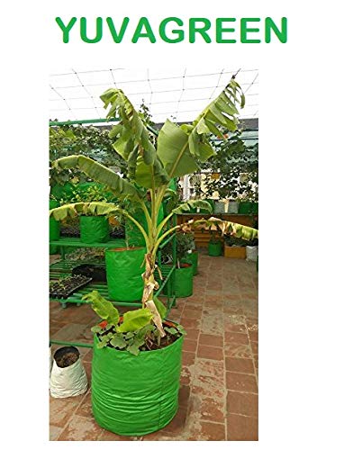 YUVAGREEN Heavy Duty Terrace Gardening Leafy Vegetable Green Grow Bag (12" X 18") - (Pack of 1) - Image 3