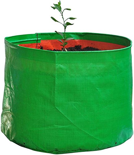YUVAGREEN Terrace Gardening Leafy Vegetable Green Grow Bag Big Size for Creepers (Diameter 1 feet x Height 1.25 feet) - Image 2