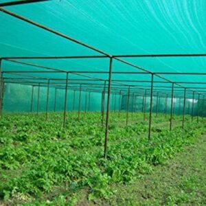 YUVAGREEN Gardening Shadenet 75% Shade 3X5 Meters Role Full Green Thick and UV Treated Long Life YU_06
