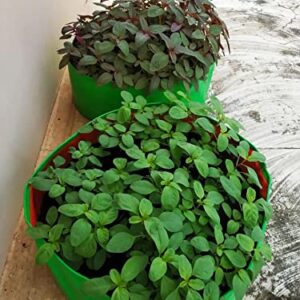 YUVAGREEN High Density Polyethylene Round Grow Bag (Green, 18" X 8")- Pack of 4