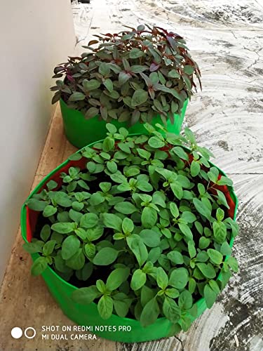 YUVAGREEN Terrace Gardening Leafy Vegetable Green Grow Bag (18" x 9") - Pack of 4 - Image 4