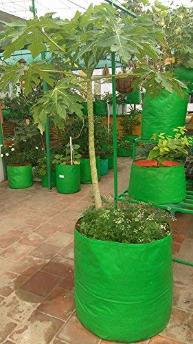 YUVAGREEN Terrace Gardening Leafy Vegetable Green Grow Bag (24" X 24") - (Pack of 5) - Image 4