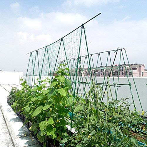 Plant Climbing net, Creeper Plant Support net