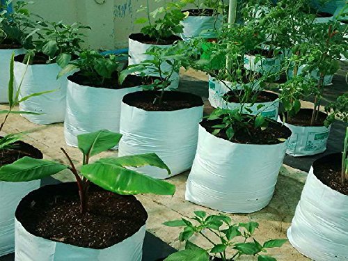 YUVAGREEN UV Treated Poly Grow Bags for Leafy Vegetable and Flower Plants (24 x 24 x 40 cm,White Outside, Black Inside) (5) - Image 4