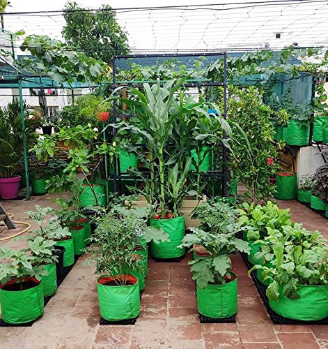 YUVAGREEN Heavy Duty Terrace Gardening Leafy Vegetable Green Grow Bag (15" X 12") - (Pack of 5) - Image 5