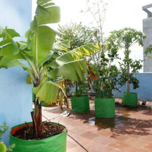 YUVAGREEN Heavy Duty Terrace Gardening Leafy Vegetable Green Grow Bag (24" x 24") - (Pack Of 4), 20 Cm