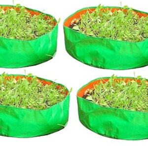 YUVAGREEN Heavy Duty Terrace Gardening Leafy Vegetable Green Grow Bag (24" X 12") - (Pack of 4)