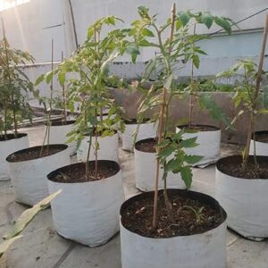 YUVAGREEN Terrace Gardening UV Treated Poly Grow Bags (White Outside, Black Inside 20 x 20 x 35 Cm -10 Bags)