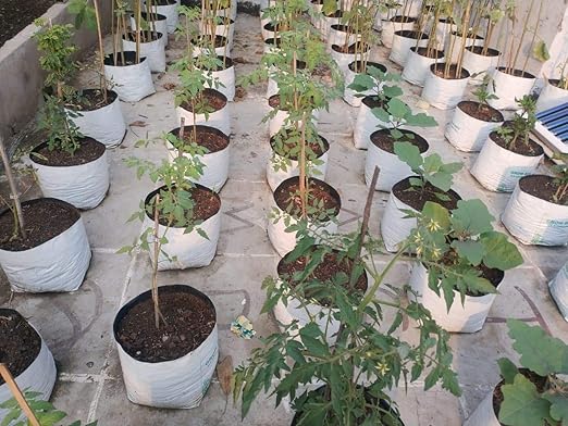 YUVAGREEN UV Treated Poly Grow Bags for Leafy Vegetable and Flower plants (24 x 24 x 40 cm,White Outside, Black Inside) (15) - Image 2