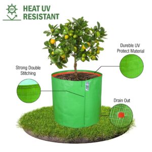 YUVAGREEN Premium Grow Bags for Terrace Gardening Vegetables & Flowers| Round Shaped Green Colour Grow Bag | Suitable for Terrace Gardening| Kitchen Gardening & Balcony (pack of 4, 12x12 INCH)
