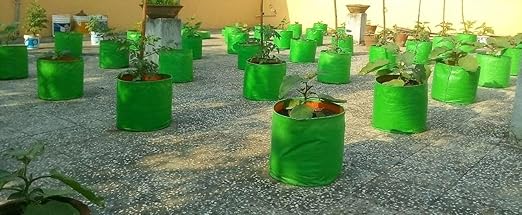 YUVAGREEN Terrace Gardening Leafy Vegetable Grow Bag (9x 9-inch, Green) - Pack of 6 - Image 6