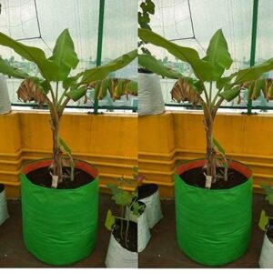 YUVAGREEN Heavy Duty Terrace Gardening Leafy Vegetable Green Grow Bag (12" X 18") - (Pack of 2)