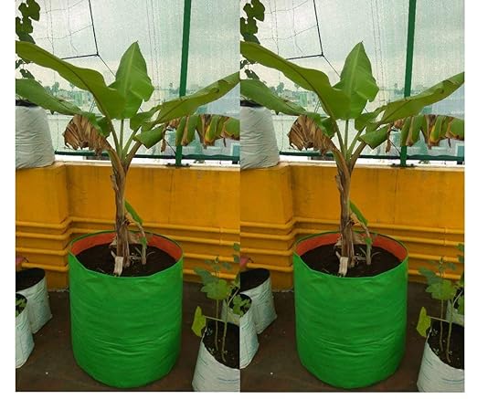 YUVAGREEN Heavy Duty Terrace Gardening Leafy Vegetable Green Grow Bag (12" X 18") - (Pack of 2)