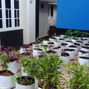 YUVAGREEN Terrace Gardening Grow Bag (28 x 28 x 50 cm) Pack of 10