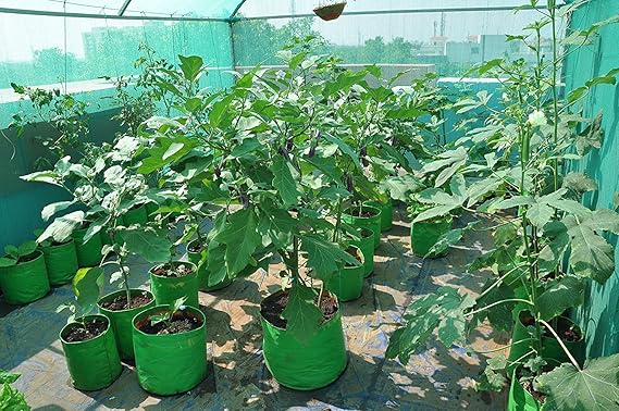 YUVAGREEN Terrace Gardening Leafy Vegetable Green Grow Bag Big Size for Creepers (Diameter 1 feet x Height 1.25 feet) - Image 3