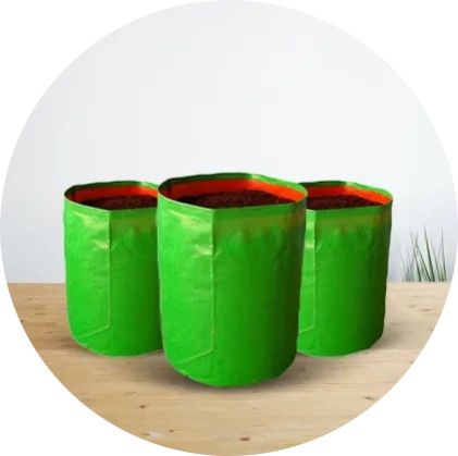 Grow Bag