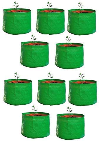 YUVAGREEN Gardening Leafy Vegetable Green Grow Bag (12" X 15") - (Pack of 10)