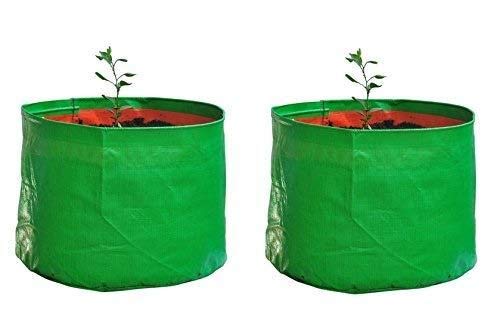 YUVAGREEN Heavy Duty Terrace Gardening Leafy Vegetable Green Grow Bag (12" X 12") - (Pack of 2)