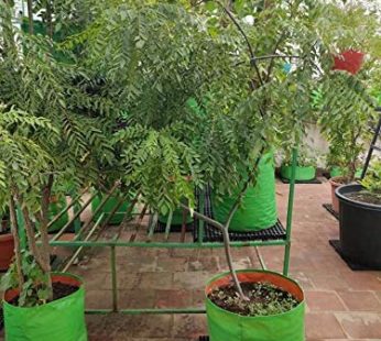 YUVAGREEN Terrace Gardening Leafy Vegetable HDPE Green with Orange UV Treated Grow Bags 24″ Diax 24″ Height, Pack of 4