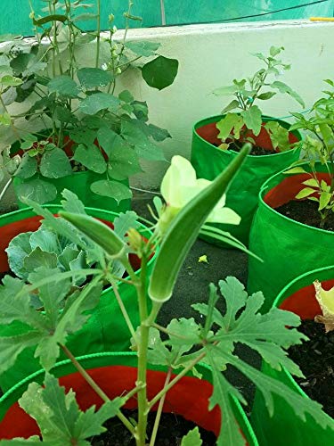 YUVAGREEN Heavy Duty Terrace Gardening Leafy Vegetable Green Grow Bag (15" X 12") - (Pack of 2) - Image 3