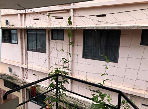 YUVAGREEN Agro Garden Netting Green House Creeper Plant Support Net, 10 Feet X 5 Feet (3 Mtrs X 1.5 Mtrs, Black) set of 2 - Image 6
