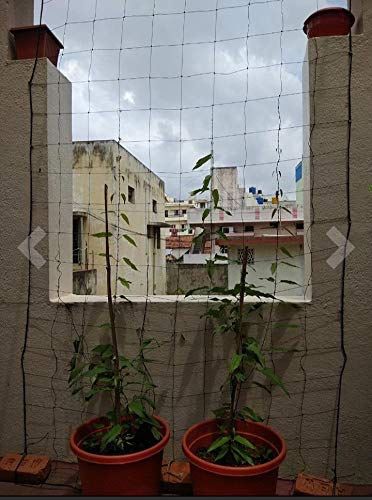 YUVAGREEN Agro Garden Netting Green House Creeper Plant Support Net, 10 Feet X 5 Feet (3 Mtrs X 1.5 Mtrs, Black) set of 2 - Image 7