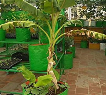 YUVAGREEN Heavy Duty Terrace Gardening Leafy Vegetable Green Grow Bag (18″ X 24″) – (Pack of 4)