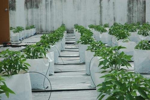 YUVAGREEN UV Treated Poly Grow Bags for Leafy Vegetable and Flower Plants (28 x 28 x 50 cm,White Outside, Black Inside) (20) - Image 2