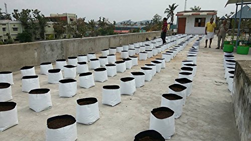 YUVAGREEN UV Treated Poly Grow Bags for Leafy Vegetable and Flower Plants (28 x 28 x 50 cm,White Outside, Black Inside) (20) - Image 3