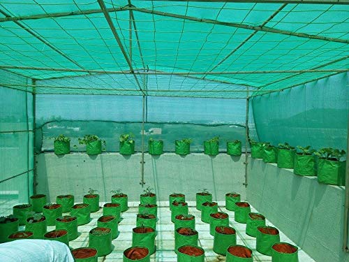 Yuvagreen Evergreen Shade Net 75% Shade Greenhouse Uv Stabilized Net (Green, 10 X 10Ft) - Image 3