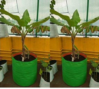 YUVAGREEN 200 GSM UV Treated Round Grow Bags for Terrace Gardening (Green with Orange, 18″x18″) – Pack of 2