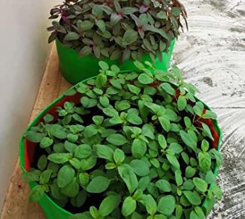 YUVAGREEN High Density Polyethylene Round Grow Bag (Green, 18″ X 8″)- Pack of 4